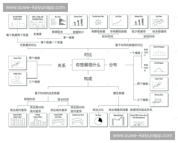 数据分析：从洞察到落地